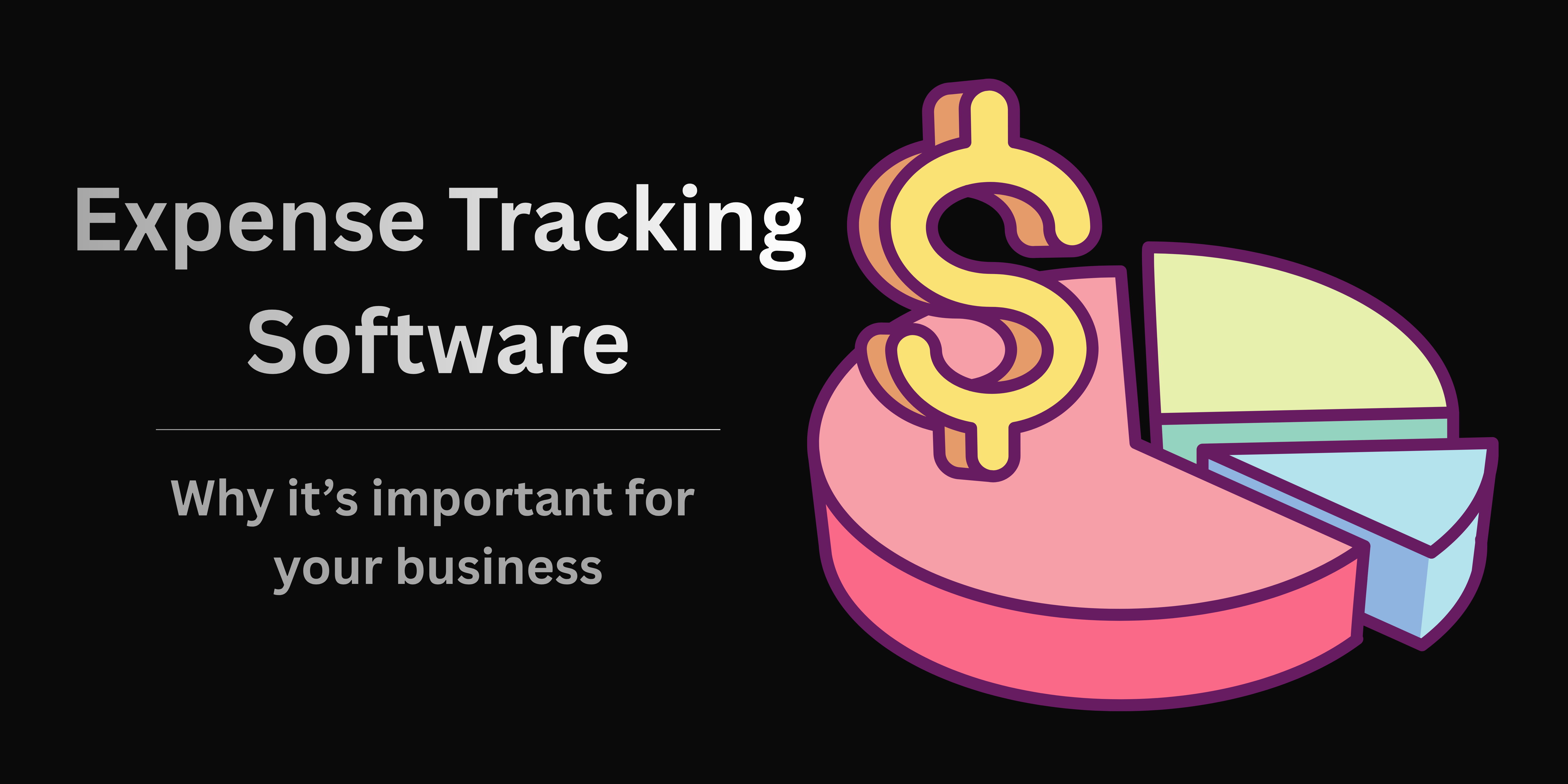 Why Expense Tracking Software Is Important For Your Young Business